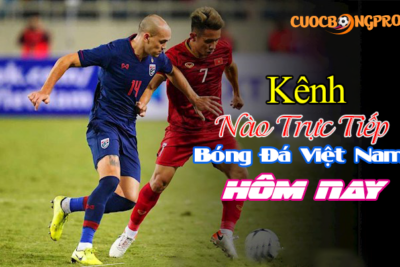Giải đáp: Kênh nào trực tiếp bóng đá Việt Nam hôm nay?