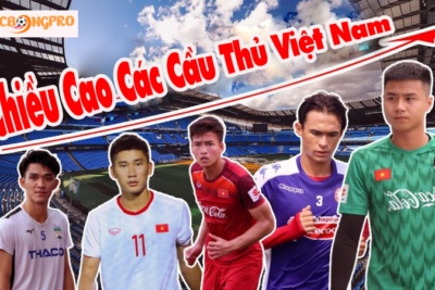 Đánh giá về chiều cao các cầu thủ Việt Nam trong đội tuyển quốc gia