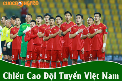 Tìm hiểu về chiều cao đội tuyển Việt Nam với từng vị trí!