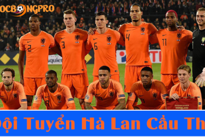Đội tuyển Hà Lan cầu thủ thi đấu World Cup 2022